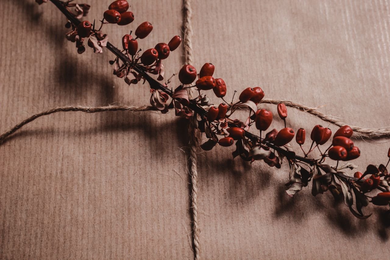 services-01 Close-up of a rustic gift package wrapped with twine and adorned with red berries.
